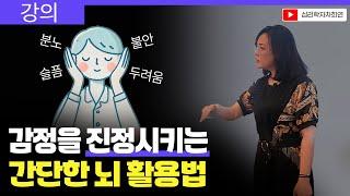 감정을 다스리는 법: 부정에서 긍정으로 가는 뇌의 비밀