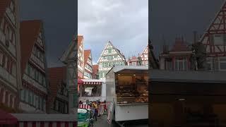 Saturday market in Herrenberg,  #shortsvideo #shortvideo #shorts #market #weekend #oldtown