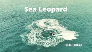 Sea Leopard charter yacht in Tanzania