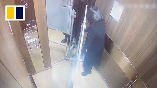 Woman in China moves whiteboard into lift, ends up trapping herself