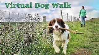 Dog Walking TV - Virtual Dog Walk - Coastal Path