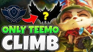 League of Legends but I ONLY play Teemo (NEW RANKED CLIMB! #1)