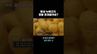 황금 누에고치, 정말 존재할까요? | 리얼다큐 숨