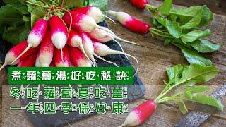 煮蘿蔔湯好吃秘訣(健康養生之道)Tips for making delicious radish soup！冬吃蘿蔔夏吃薑，一年四季保安康#養生#蘿蔔#Whiteradish