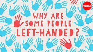 Why are some people left-handed? - Daniel M. Abrams