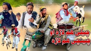 Chale Hum Lara Ou Chanche Hum Lara New Funny Video Sada Gul Vines