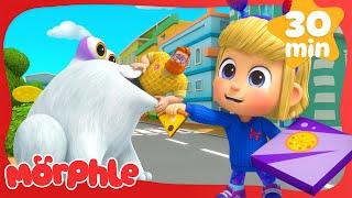  Special Pizza Delivery |  Morphle VS Orphle 🟢 | Fun Kids Cartoon