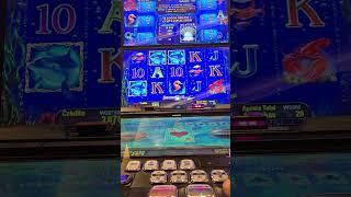 겜블이 계속 안맞네.. 망했..  강원랜드 잭팟 보너스 시카고잭팟 북 조개 구슬 겜블 슬롯 slot machine gambling(@슬롯겜블러이준)