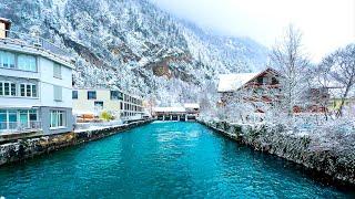 Beautiful winter walk in Interlaken ️ Switzerland 4K 