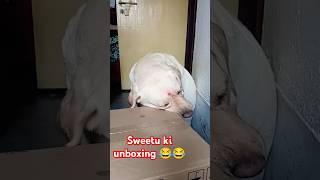 The Unboxing Revolution