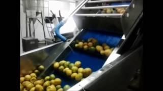 MAQUINAS PARA POLPAS DE FRUTAS E PROCESSAMENTO DE FRUTAS