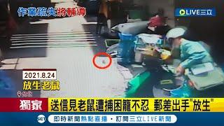 #三立獨家  這樣不好啦...郵差送信見老鼠遭捕不忍心竟出手"放生" 投訴人氣炸喊很傻眼 並再控郵差上個月"便宜行事"？│記者邵子揚 簡翰鳴│【LIVE大現場】20220406│三立新聞台