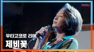 [클린버전] 우타고코로 리에(歌心りえ - 제비꽃(スミレ)｜한일톱텐쇼241223