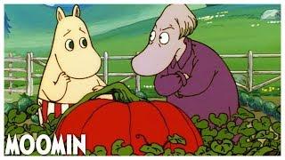 The Giant Pumpkin I EP 49 I Moomin 90s #moomin #fullepisode