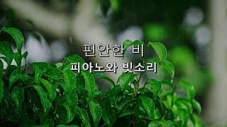 맑은 머리를 위한 숲 속 피아노 음악  명상, 힐링, 집중력 향상 음악 | 아침에 듣는 평화로운 숲속의 소리