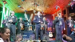 Mariachi Nuevo Tecalitlan- Casa Barachi