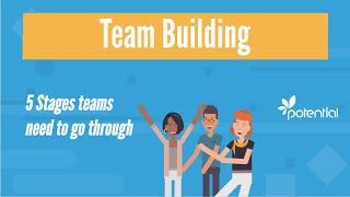 5 Stages of Team Building - What you should know when developing teams or groups