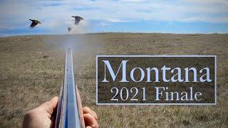 Montana 2021 pt 3 Tons-o-Huns! Sharpies too!