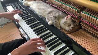 Doraemon Theme Song - Piano Meowssage