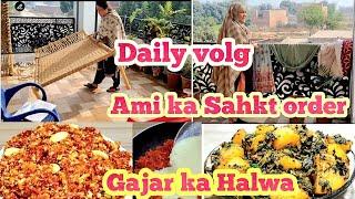 Daily routine volg \\Dono kam mn ny Mushkil chun liye \\ Gajar ka Halwa red kesy Banaya \\ Allo Mett