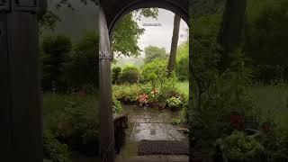 Nature with rain music  #rainmusic #nature️ #natureartlover