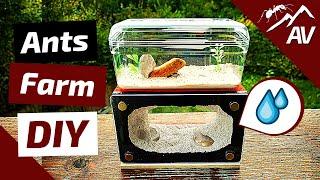 ANT WATER TOWER | How to make an Ant farm (DIY Water Tank)