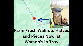 Farm Fresh Walnuts at Watson's Market In Troy Montana