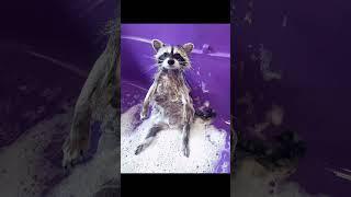 top 10 goobie woobies