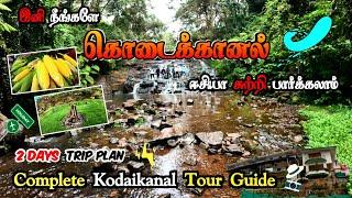 Kodaikanal Tour Guide | பக்காவான 2 Day Trip Plan | கொடைக்கானல் சுற்றுலா | Kodaikanal Tourist Places