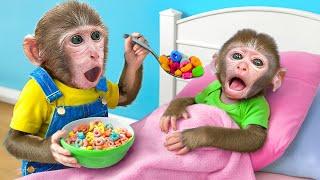 KiKi Monkey Take Care of sick baby like Doctor Check Up | KUDO ANIMAL KIKI