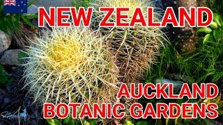 AUCKLAND BOTANIC GARDENS | NEW ZEALAND - WALKTHROUGH (FALL 2025) @ManilaShopper