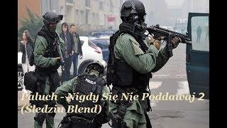 Paluch - Nigdy Się Nie Poddawaj 2 (Śledziu Blend) TELEDYSK