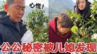 爷爷给孙子摘橘子吃，不料被儿媳发现秘密，转身就告诉婆婆太搞笑了#二胎#宝妈#婆婆