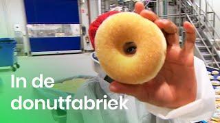 Hoe worden donuts gemaakt? | Doen Ze Dat Zo? | Het Klokhuis