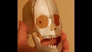 Talking Skull of Kiriorigami