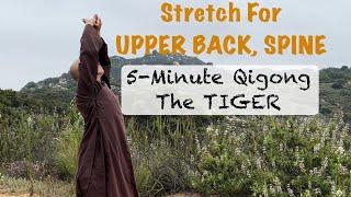 STRENGTHEN SPINE, and UPPER BACK | 5-Minute Qigong: The Tiger