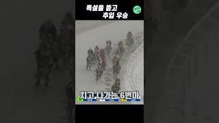 앞도 안보이는 폭설을 뚫으며 추입 우승 #shorts