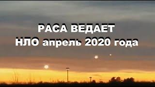 РАСА ВЕДАЕТ  - НЛО апрель 2020 года