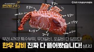 한우를 낱낱이 파헤쳐 보자 [한우탐구소-갈비 상편]