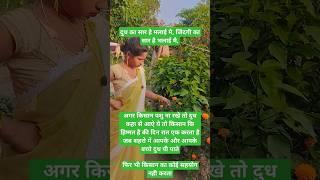 Radha Krishna# short video #Vinod Kumar 50