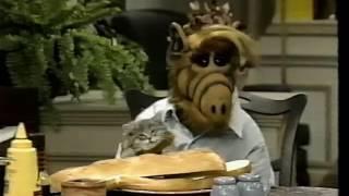 Alf Questions Eating Cats