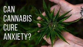 Can Cannabis CURE Anxiety?