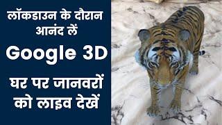 How To See 3D Animal in Camera | Google Amazing New Feature | 3D Animal Problem Solved Bikash Daily