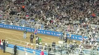 Muttin Bustin' - #rodeohouston #hlsr #hlsr2019 #lukebryan #jooweescam #joowee