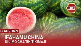 Ifahamu China: Kilimo cha tikiti maji