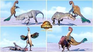 Gigantoraptor VS All Carnivore & Herbivore Dinosaurs Killing Animations  Jurassic World Evolution 2