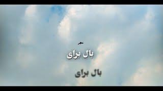 فیلم کوتاه : بال برای