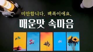 [타로] 그 사람의 속마음. 그런데 이제 매운맛을 곁들인.