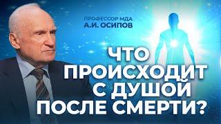 Что происходит с душой после смерти? / А.И. Осипов