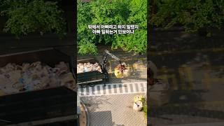 아빠라고 부르지 말랬지 #녀석여기까지따라왔네